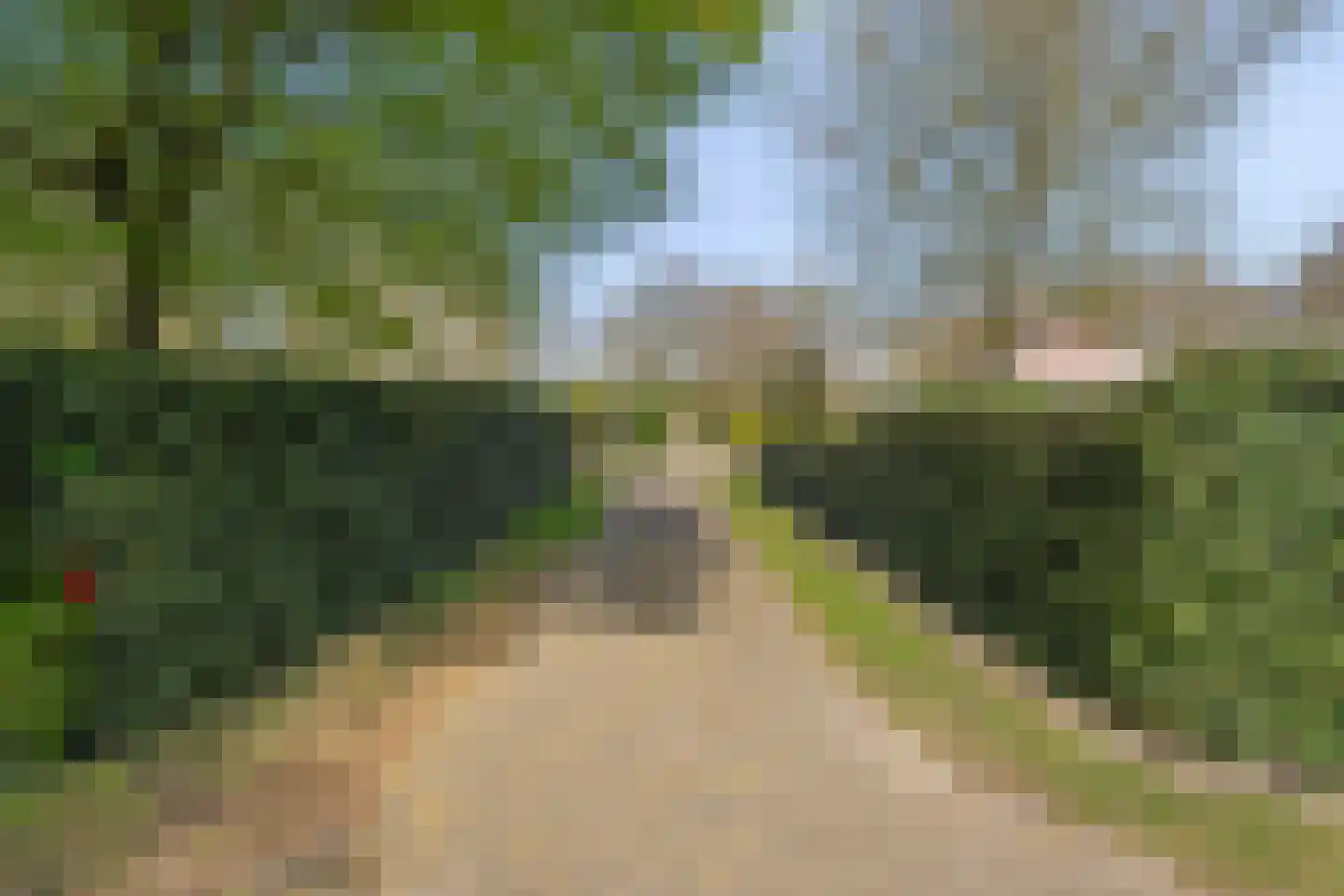 De Breistroeken 18 Nieuw-Balinge thumbnail 69
