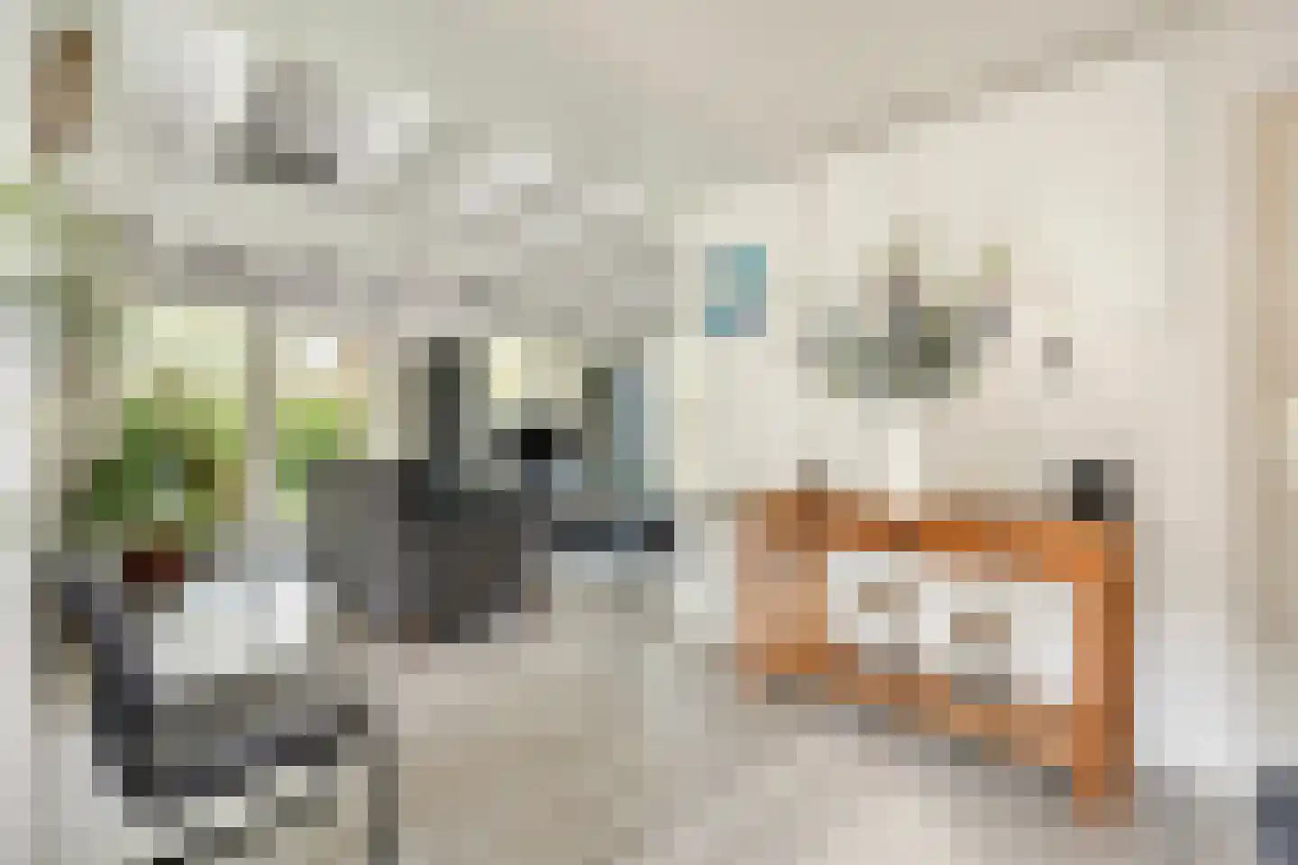 De Breistroeken 18 Nieuw-Balinge thumbnail 7