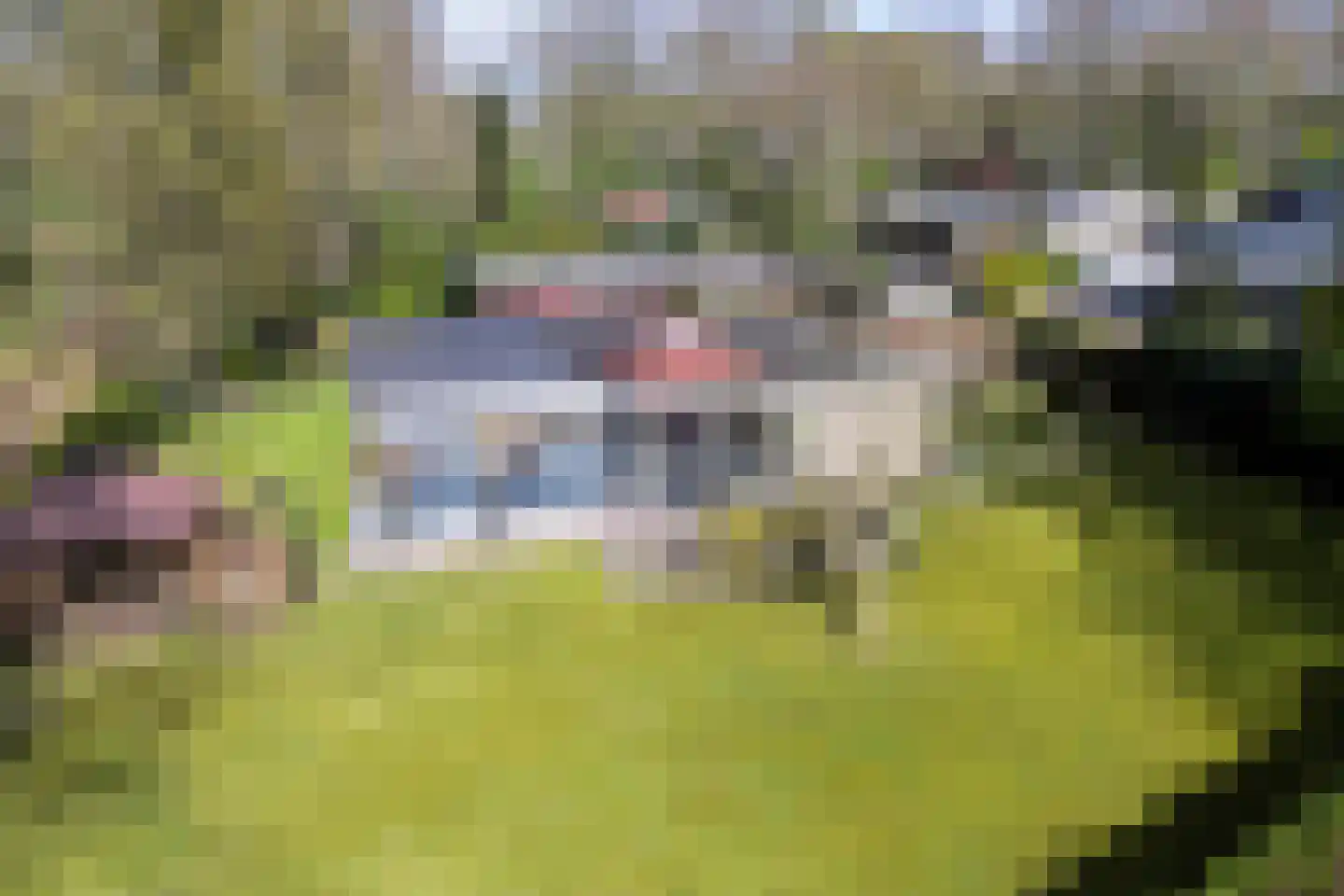 De Breistroeken 18 Nieuw-Balinge thumbnail 70