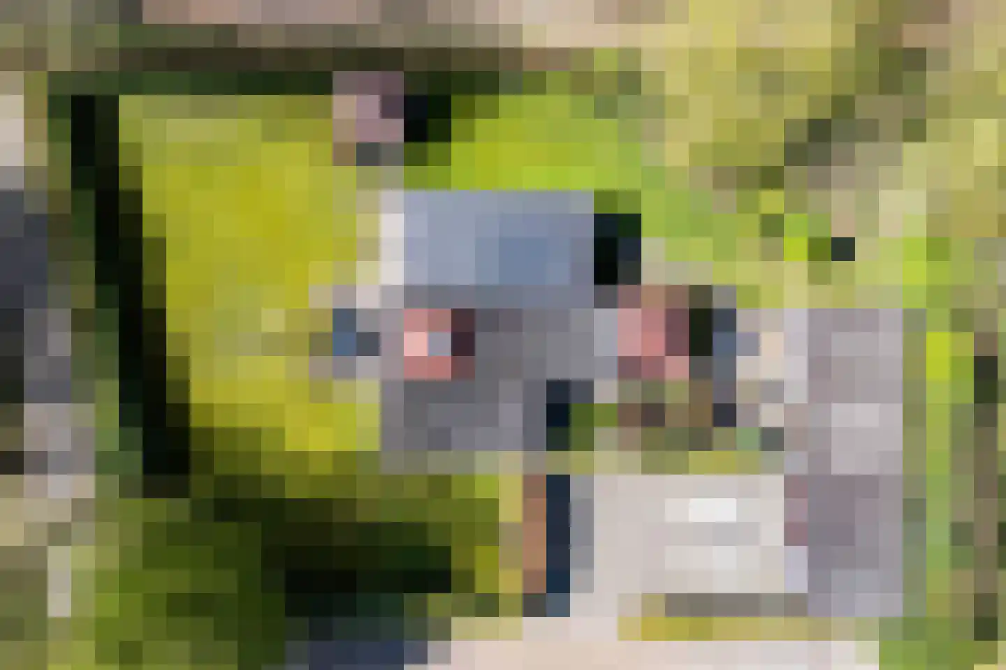 De Breistroeken 18 Nieuw-Balinge thumbnail 71