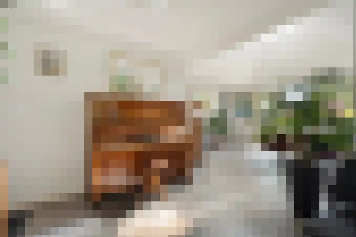 De Breistroeken 18 Nieuw-Balinge thumbnail 9