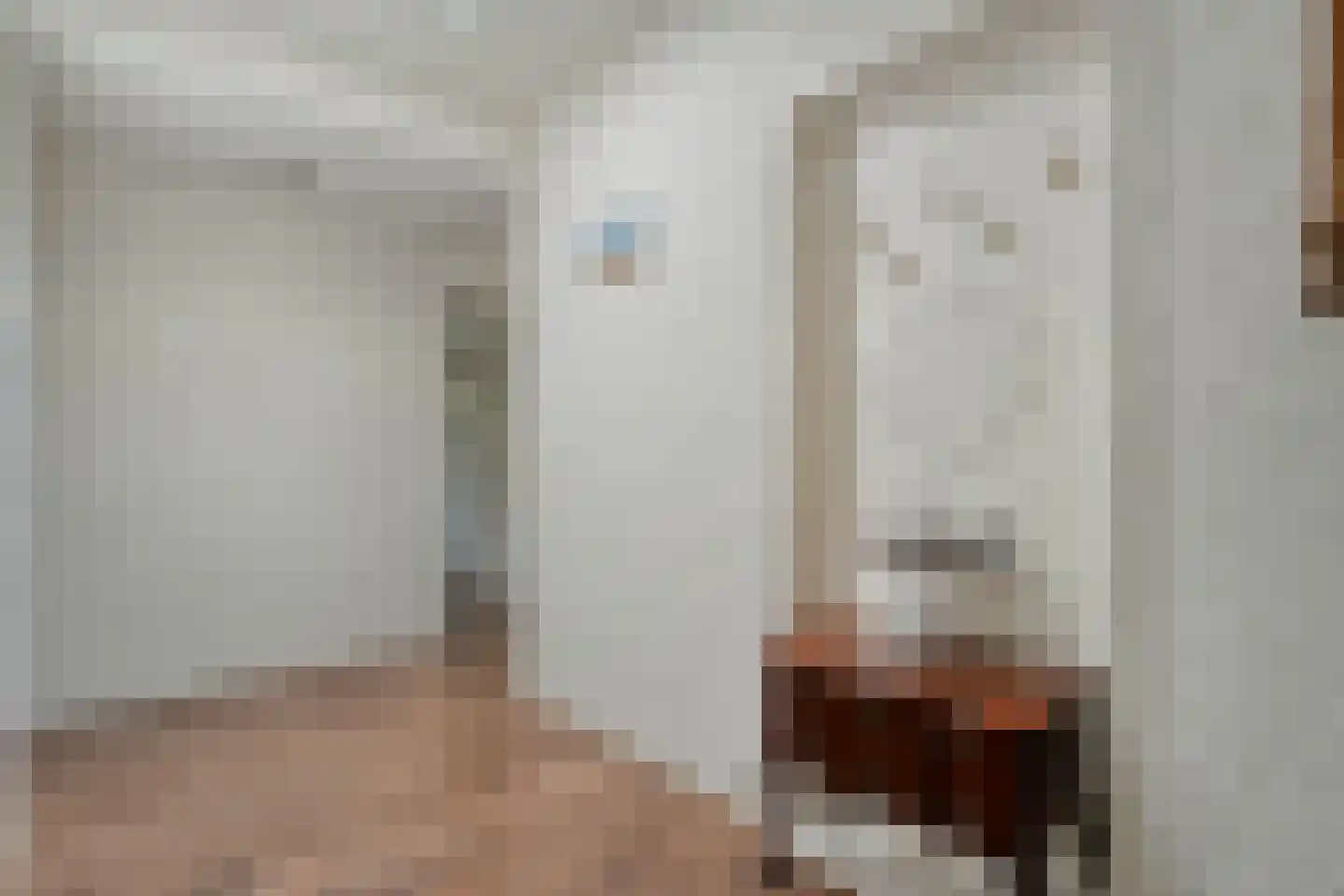 De Breistroeken 24 Nieuw-Balinge thumbnail 13