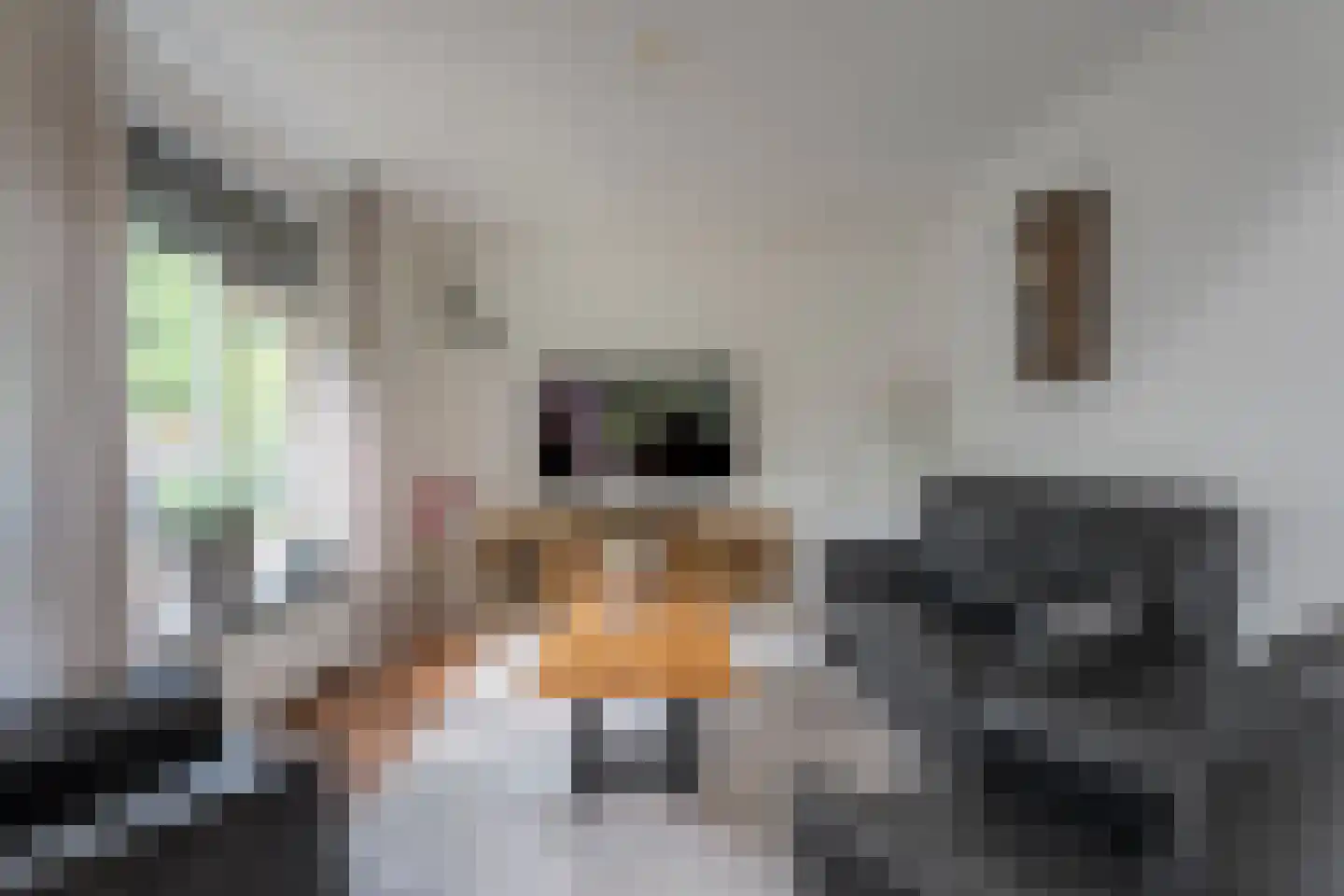 De Breistroeken 24 Nieuw-Balinge thumbnail 17