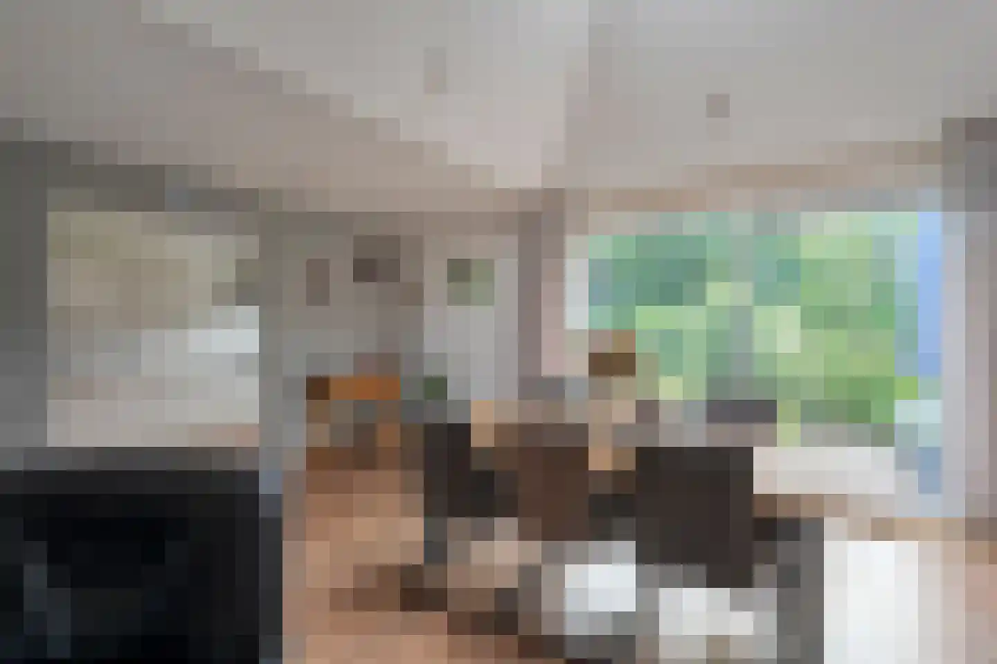 De Breistroeken 24 Nieuw-Balinge thumbnail 19