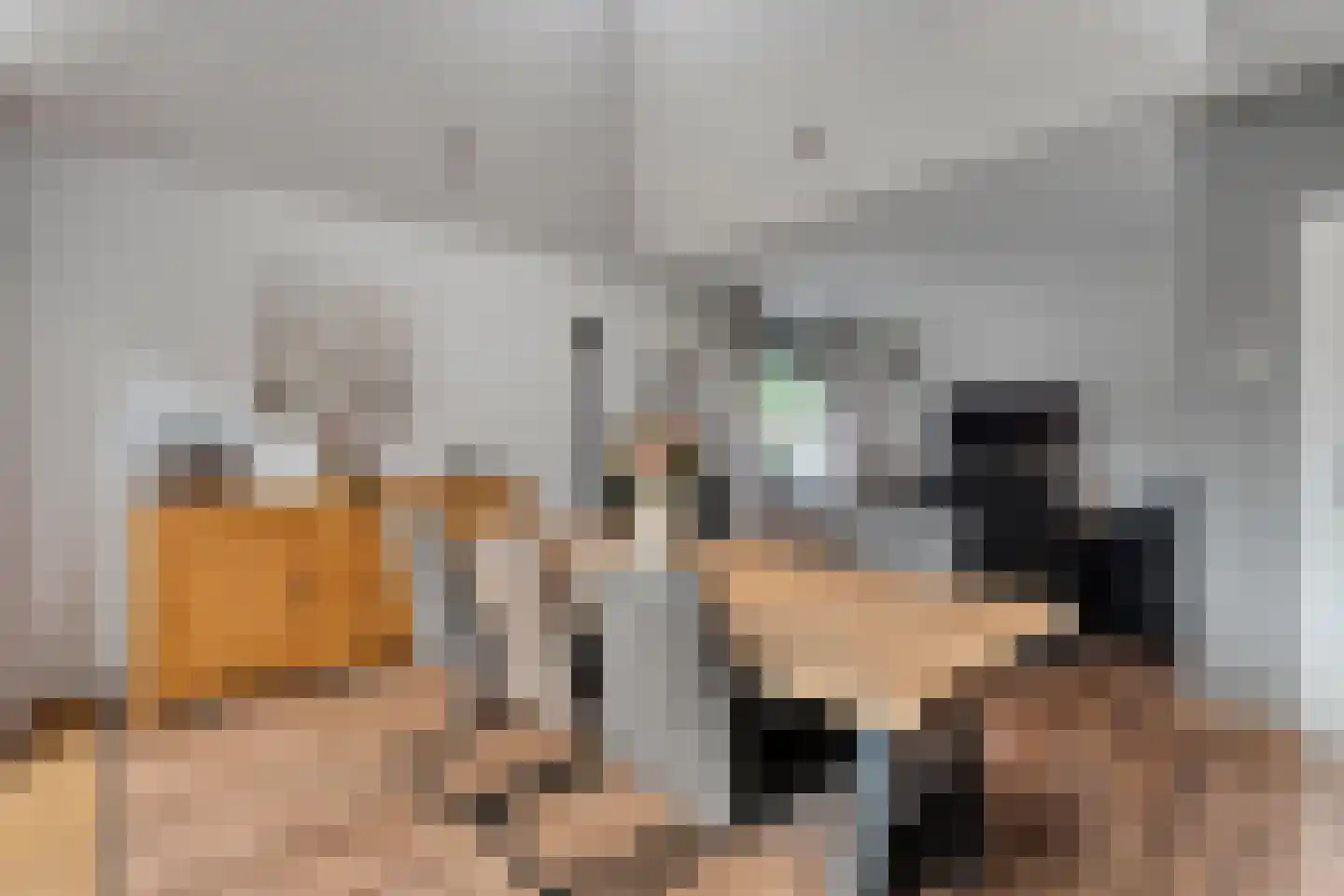 De Breistroeken 24 Nieuw-Balinge thumbnail 21