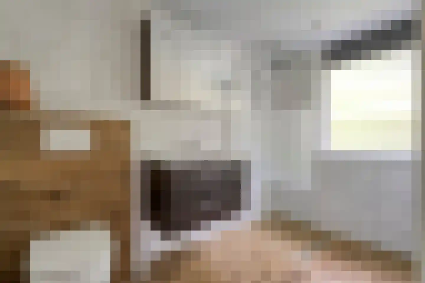 De Breistroeken 24 Nieuw-Balinge thumbnail 28