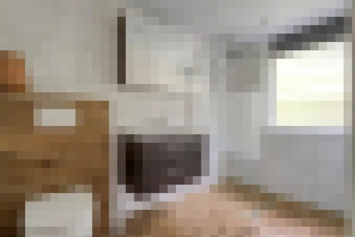 De Breistroeken 24 Nieuw-Balinge thumbnail 28