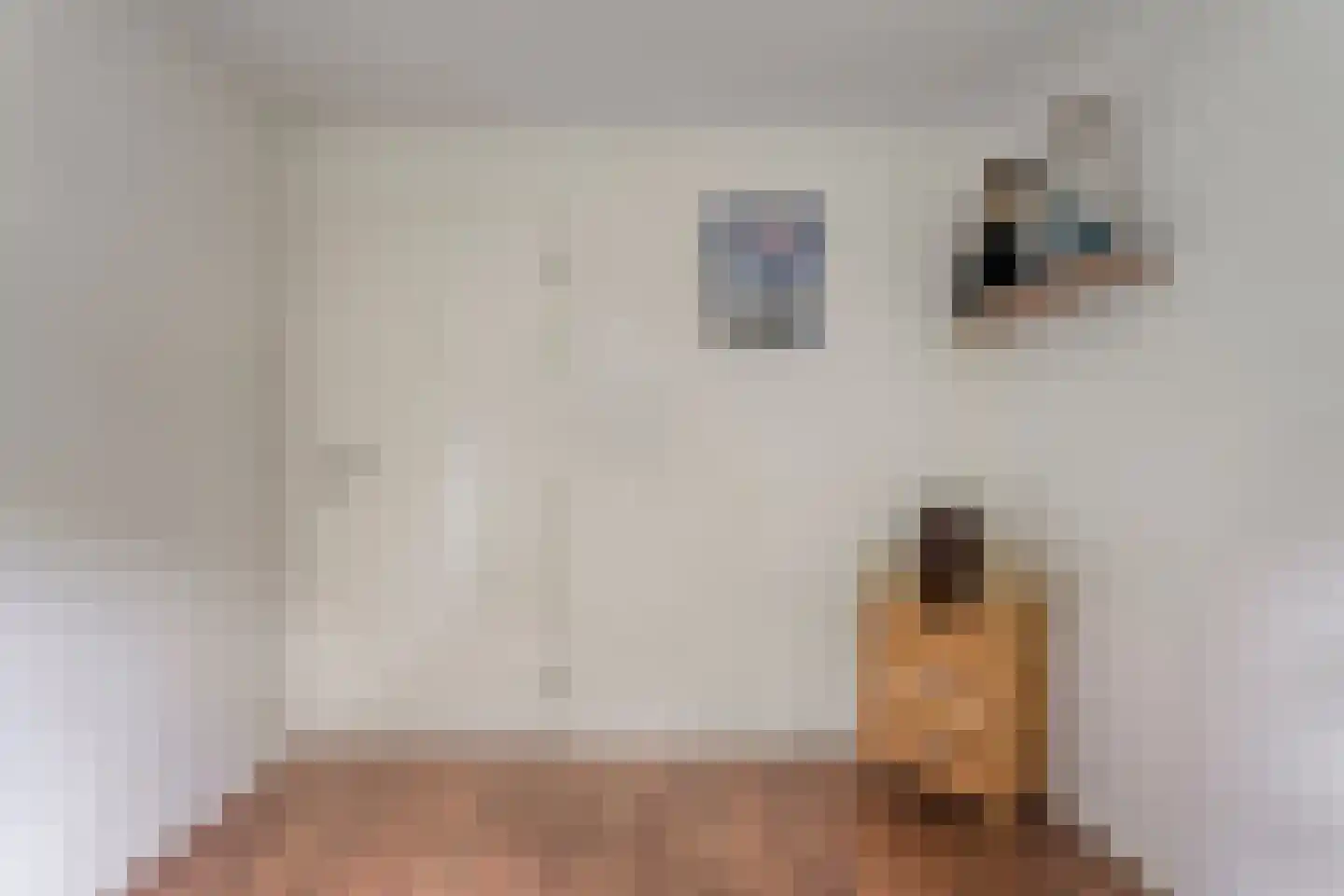 De Breistroeken 24 Nieuw-Balinge thumbnail 31