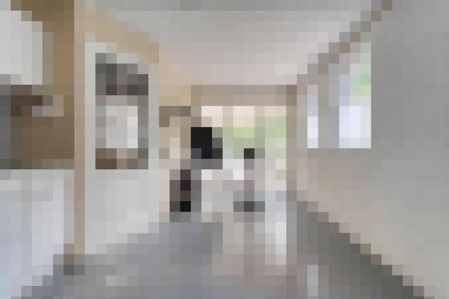 De Breistroeken 24 Nieuw-Balinge thumbnail 35