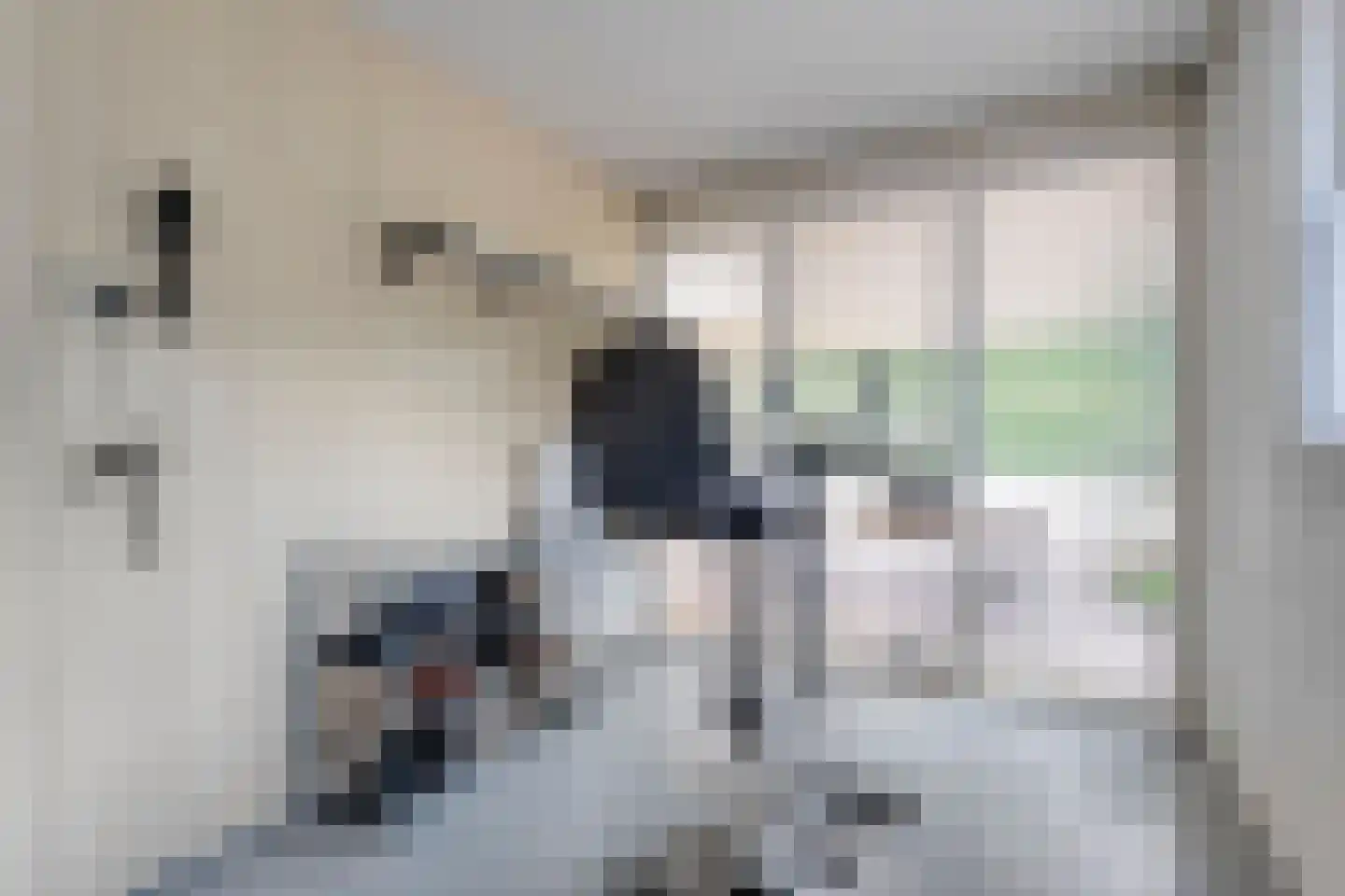 De Breistroeken 24 Nieuw-Balinge thumbnail 36