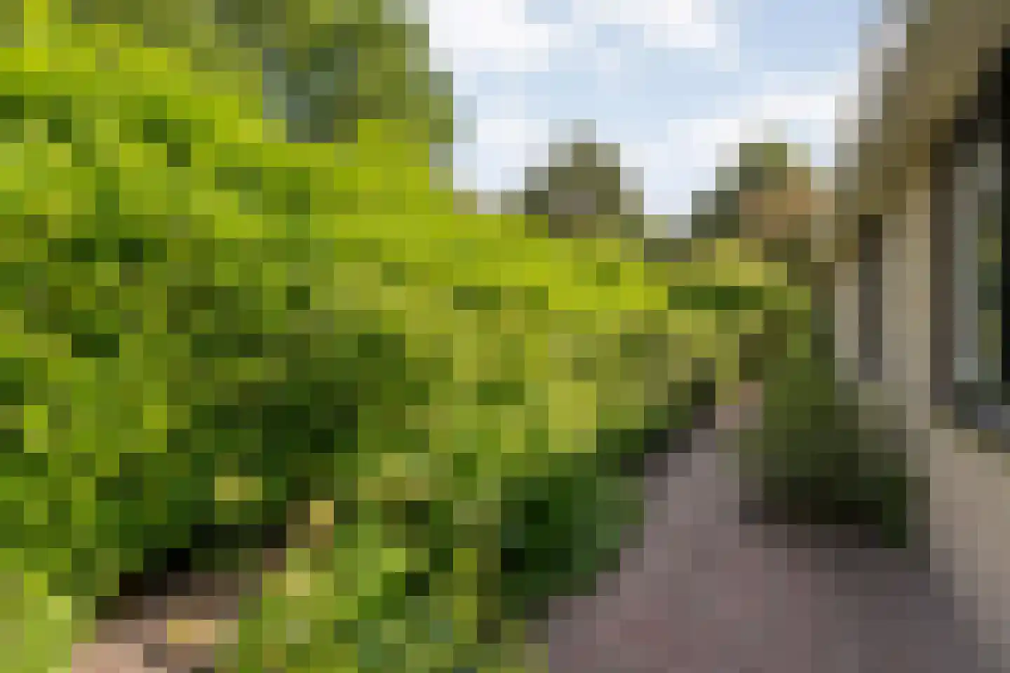 De Breistroeken 24 Nieuw-Balinge thumbnail 39