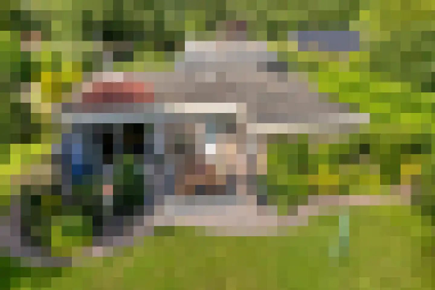 De Breistroeken 24 Nieuw-Balinge thumbnail 4