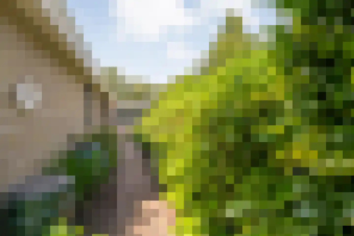 De Breistroeken 24 Nieuw-Balinge thumbnail 40
