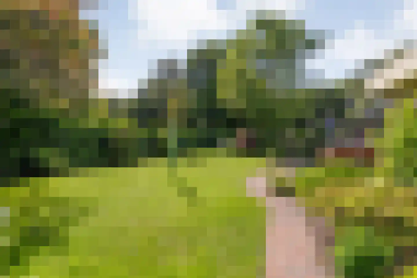 De Breistroeken 24 Nieuw-Balinge thumbnail 41