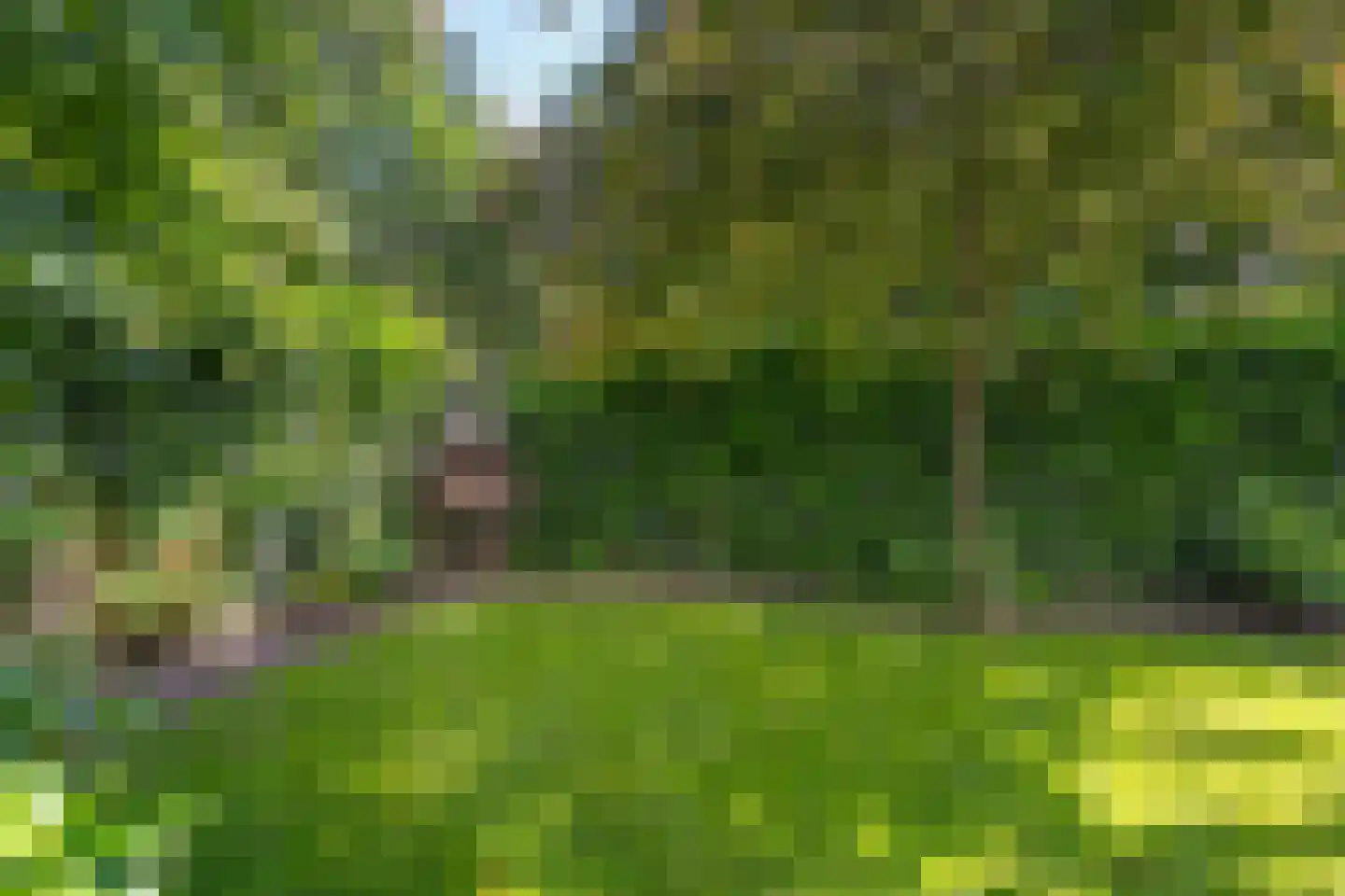 De Breistroeken 24 Nieuw-Balinge thumbnail 42