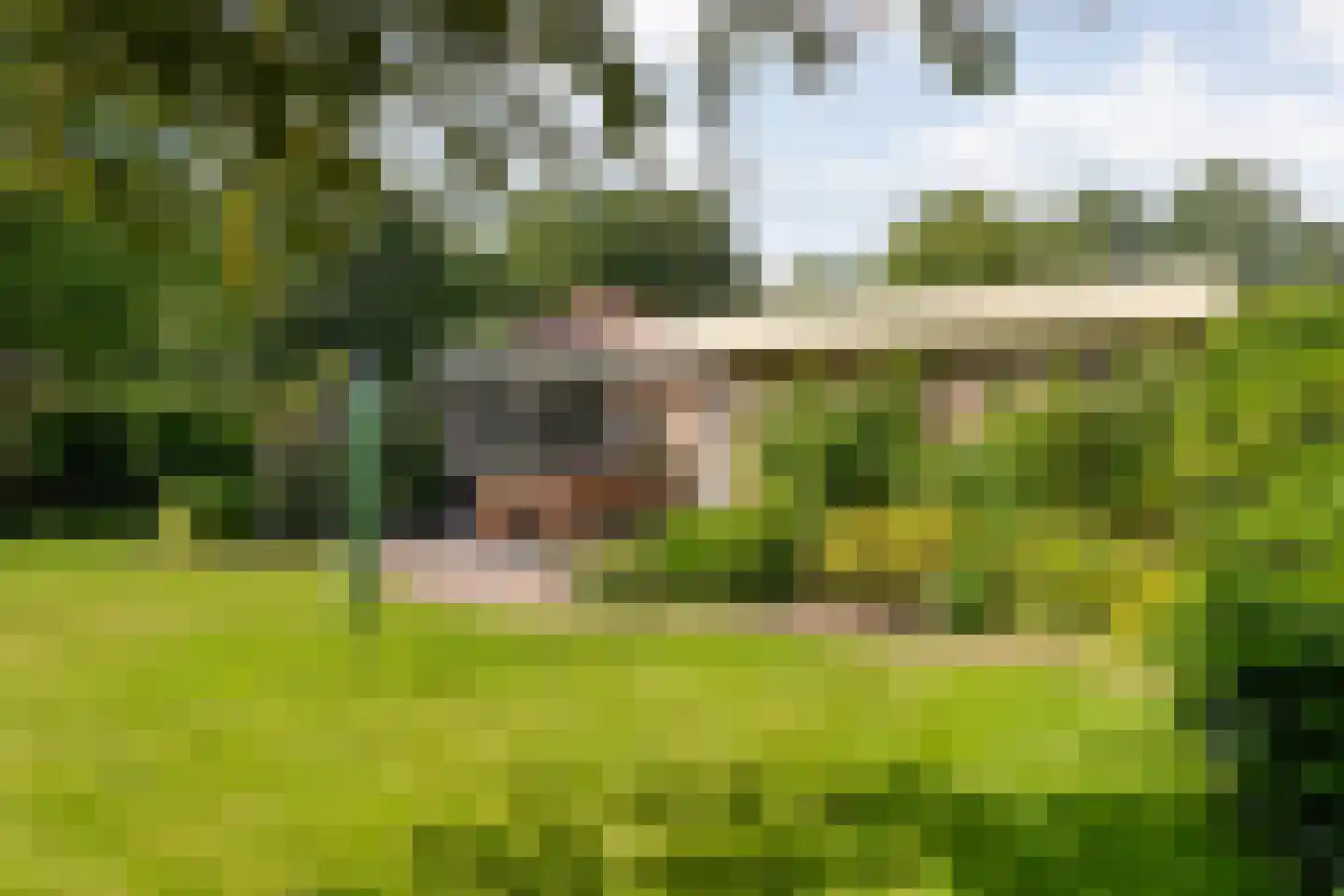 De Breistroeken 24 Nieuw-Balinge thumbnail 43