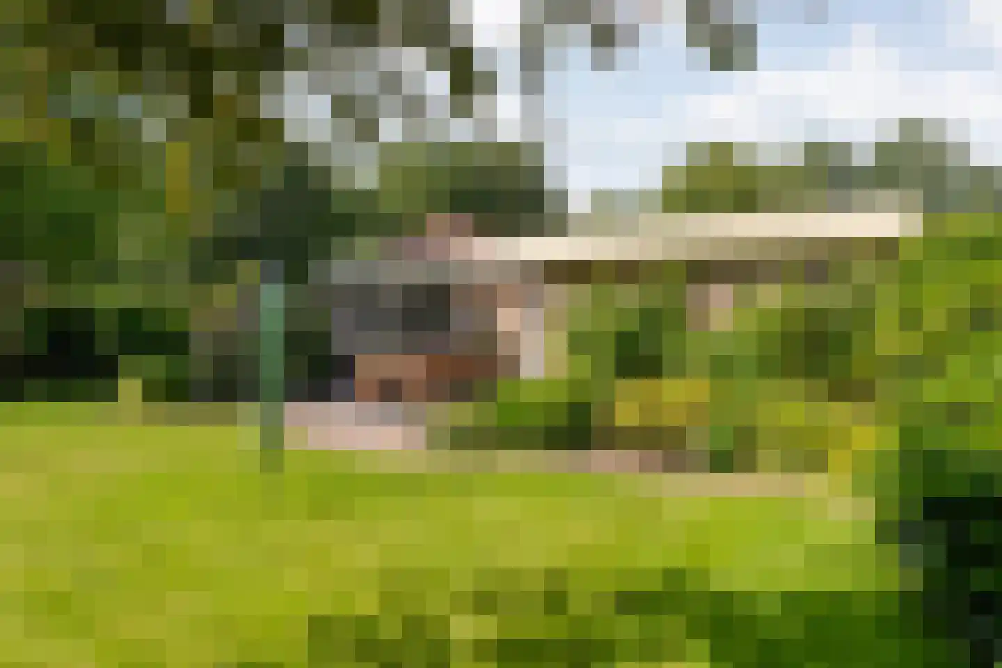 De Breistroeken 24 Nieuw-Balinge thumbnail 43