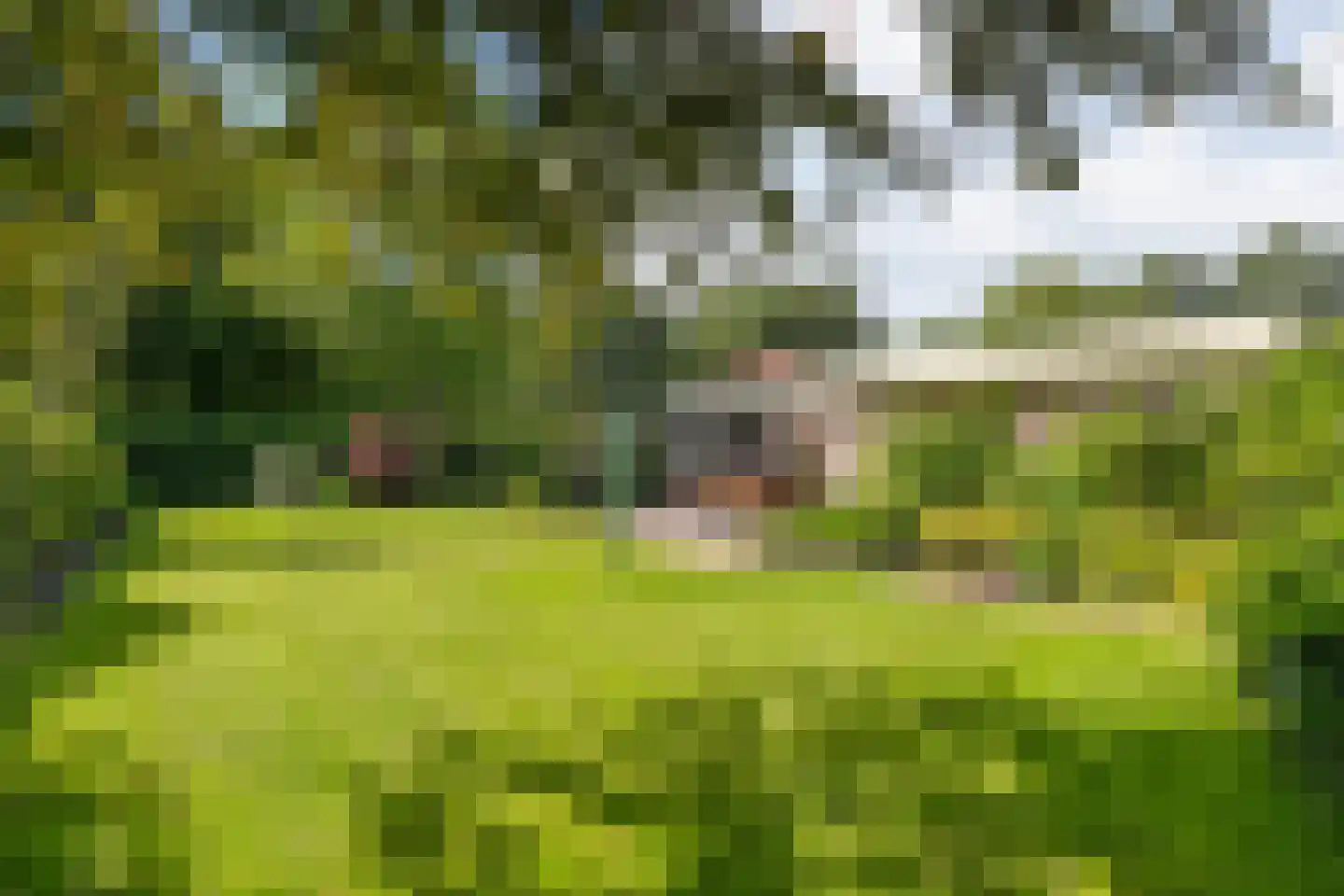De Breistroeken 24 Nieuw-Balinge thumbnail 44