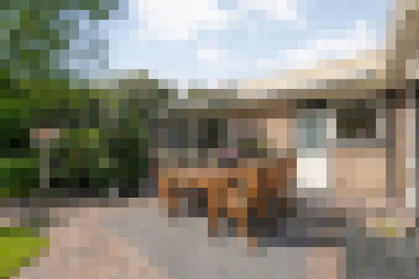 De Breistroeken 24 Nieuw-Balinge thumbnail 46