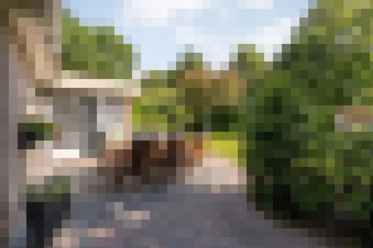 De Breistroeken 24 Nieuw-Balinge thumbnail 47