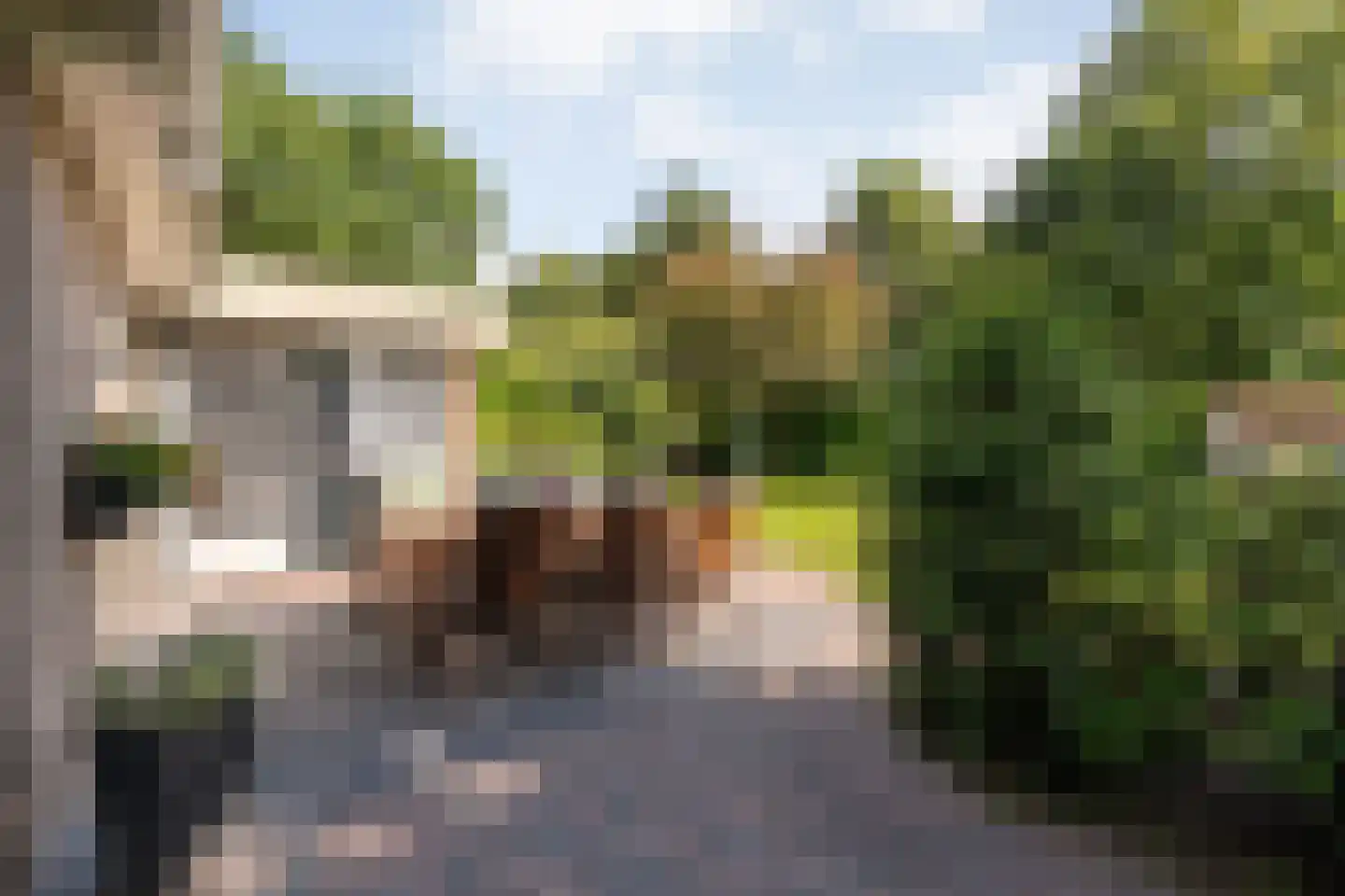 De Breistroeken 24 Nieuw-Balinge thumbnail 47
