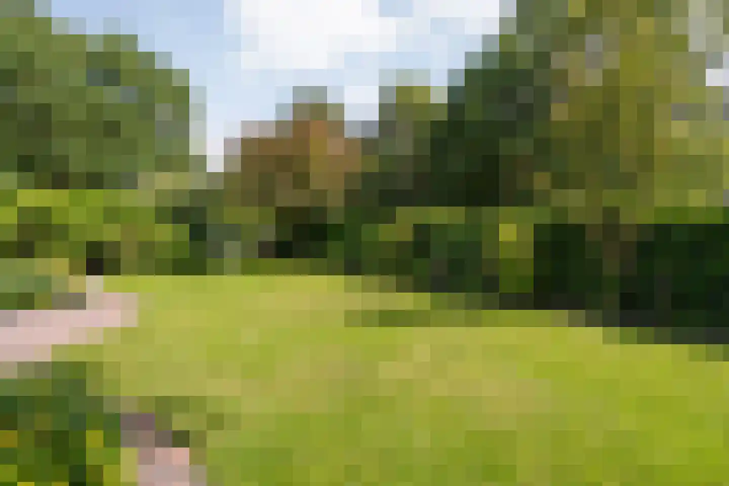 De Breistroeken 24 Nieuw-Balinge thumbnail 48