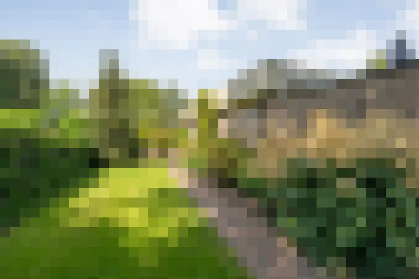 De Breistroeken 24 Nieuw-Balinge thumbnail 49