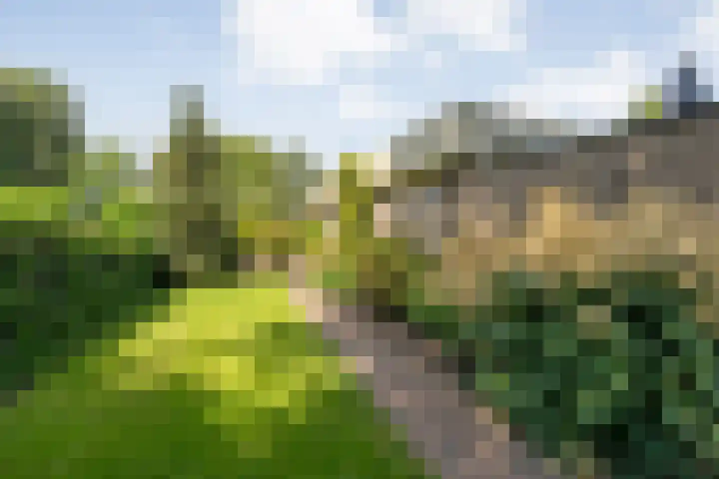 De Breistroeken 24 Nieuw-Balinge thumbnail 49