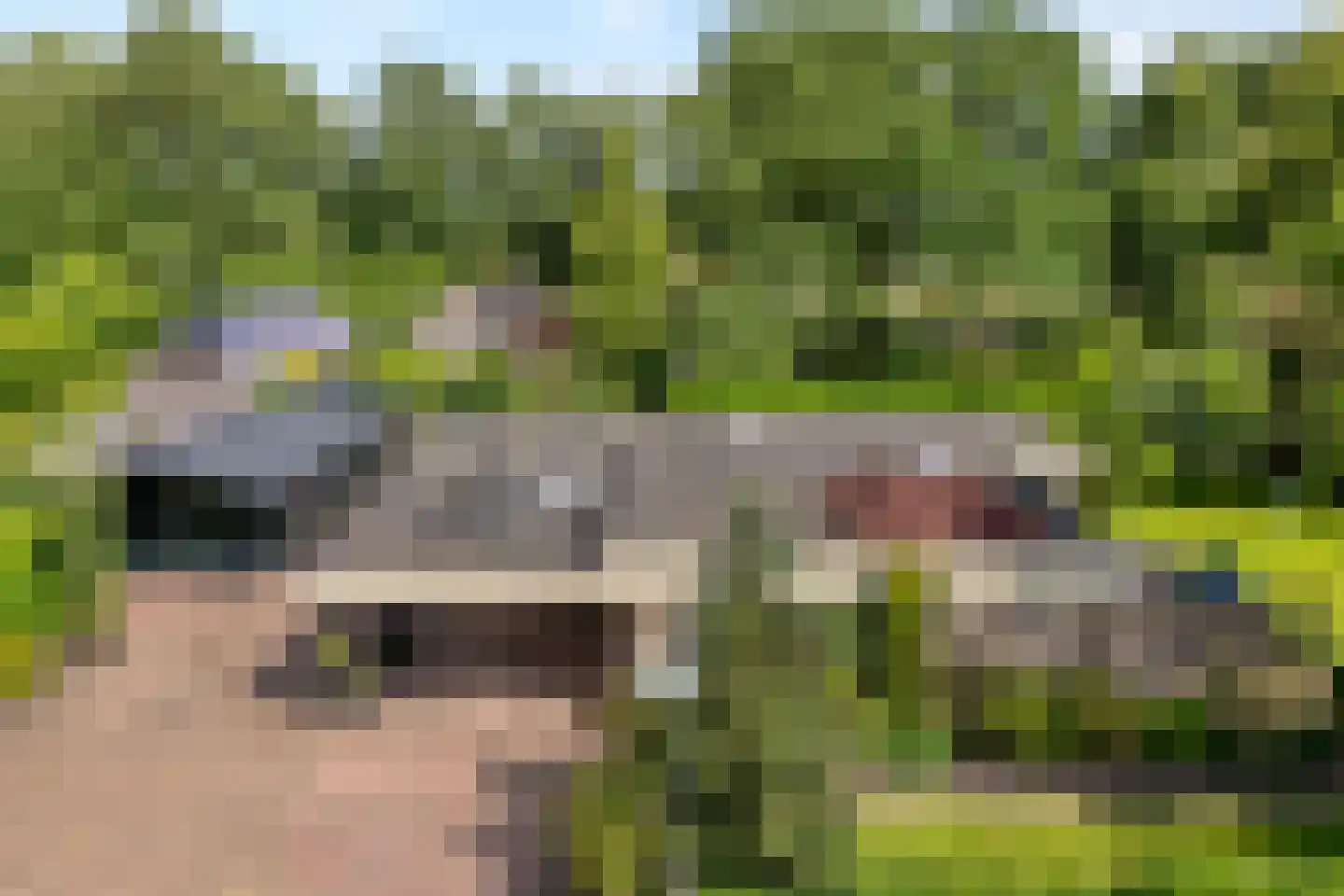 De Breistroeken 24 Nieuw-Balinge thumbnail 5