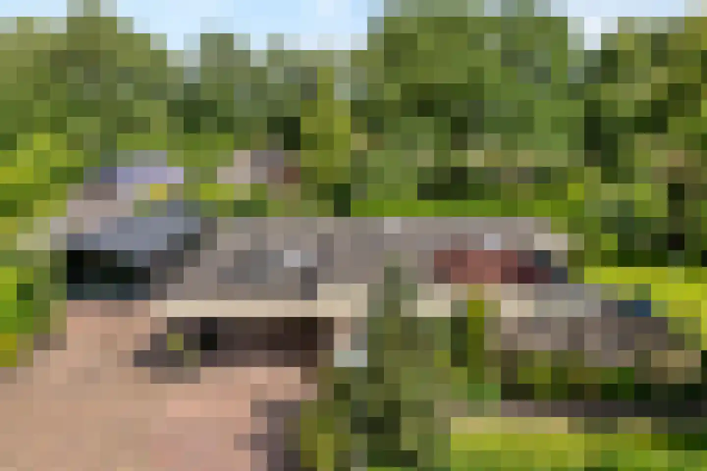 De Breistroeken 24 Nieuw-Balinge thumbnail 5
