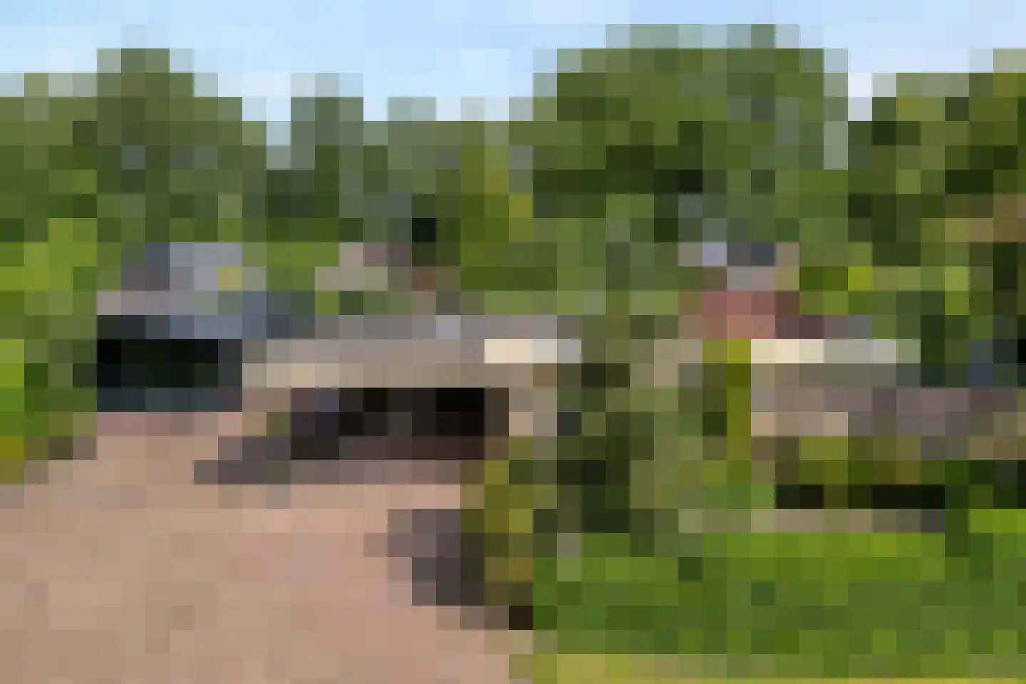 De Breistroeken 24 Nieuw-Balinge thumbnail 50