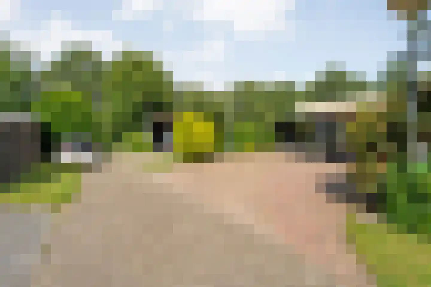 De Breistroeken 24 Nieuw-Balinge thumbnail 53