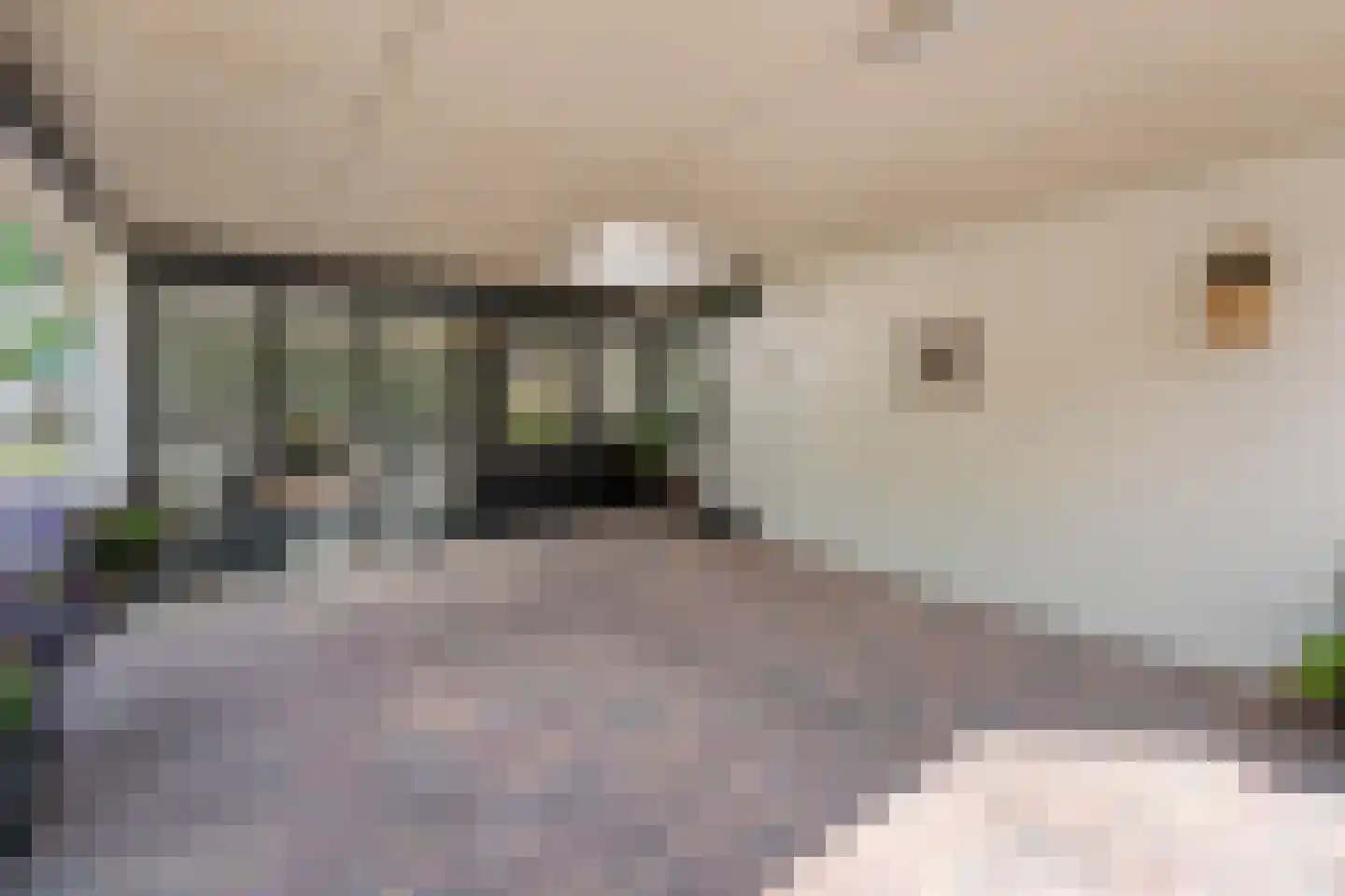 De Breistroeken 24 Nieuw-Balinge thumbnail 8