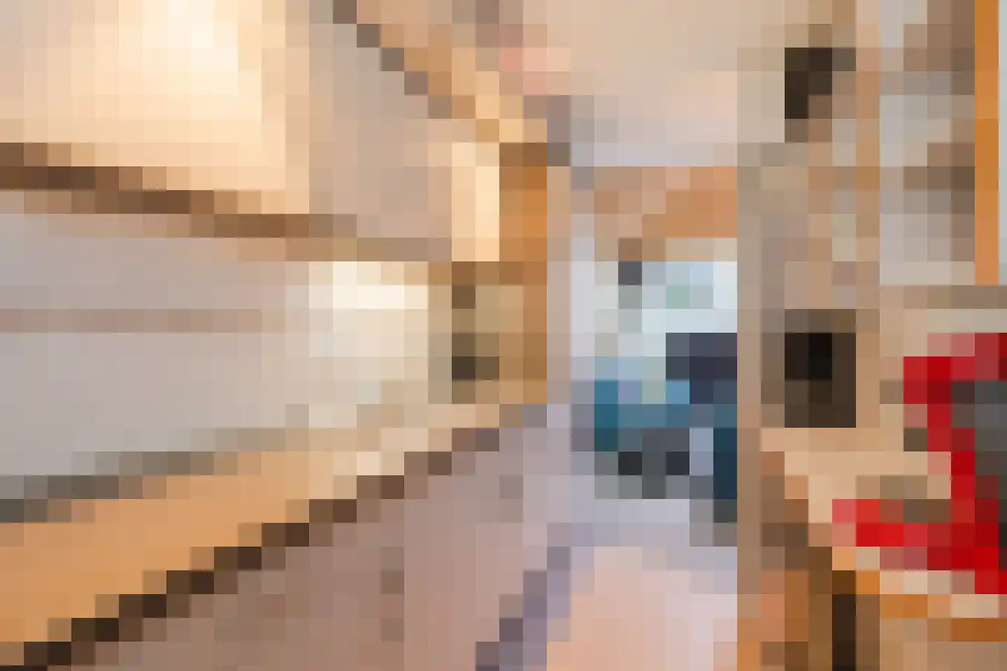 De Breistroeken 3 Nieuw-Balinge thumbnail 10