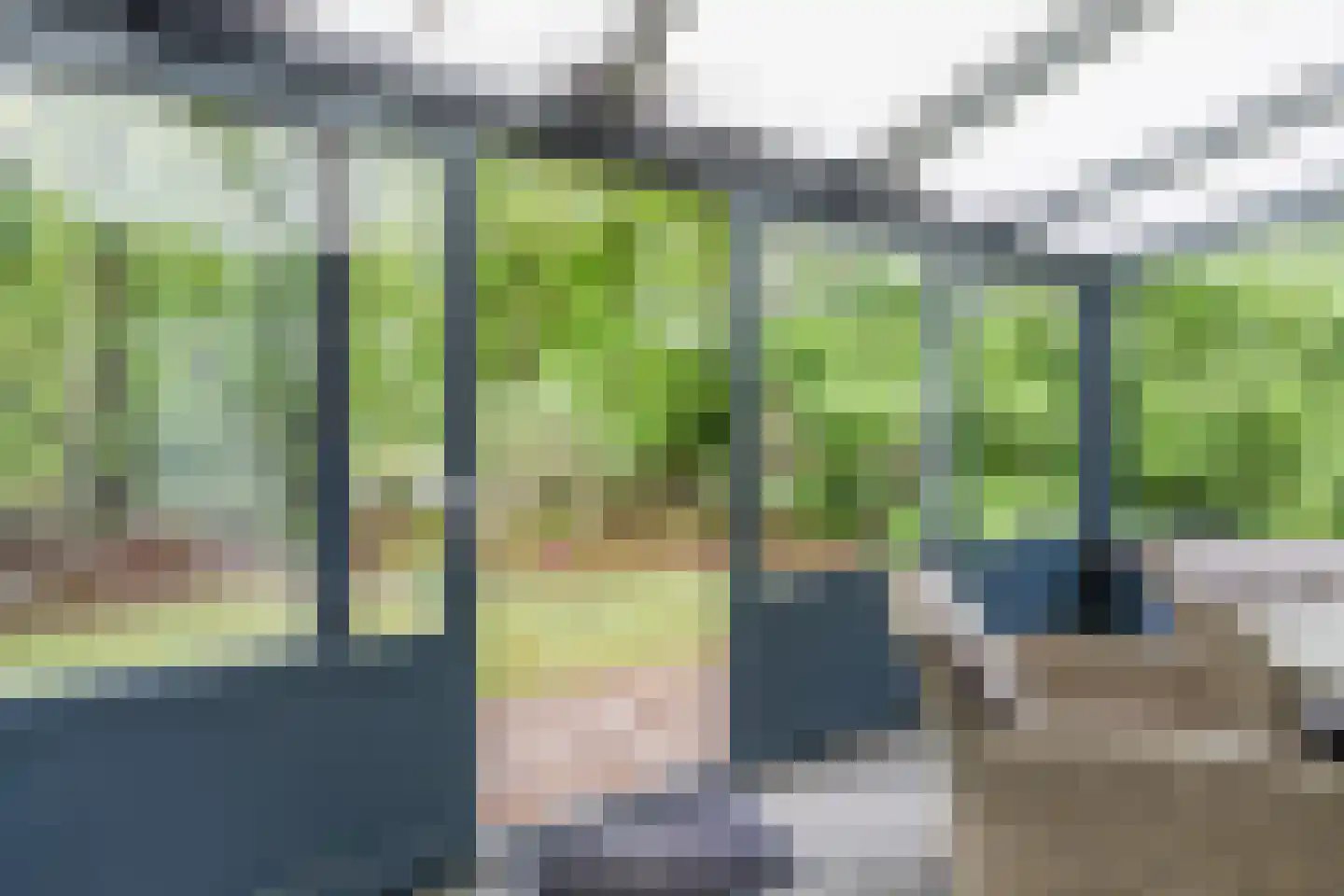 De Breistroeken 3 Nieuw-Balinge thumbnail 20