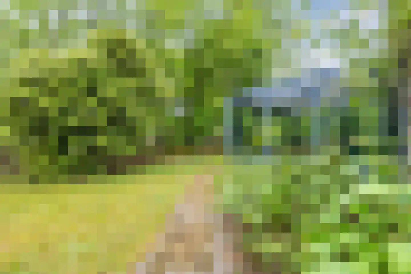 De Breistroeken 3 Nieuw-Balinge thumbnail 23