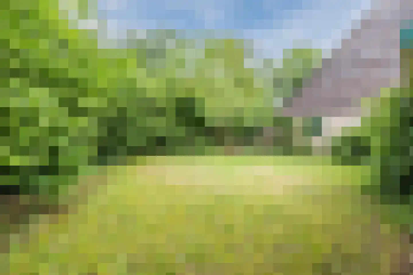 De Breistroeken 3 Nieuw-Balinge thumbnail 24