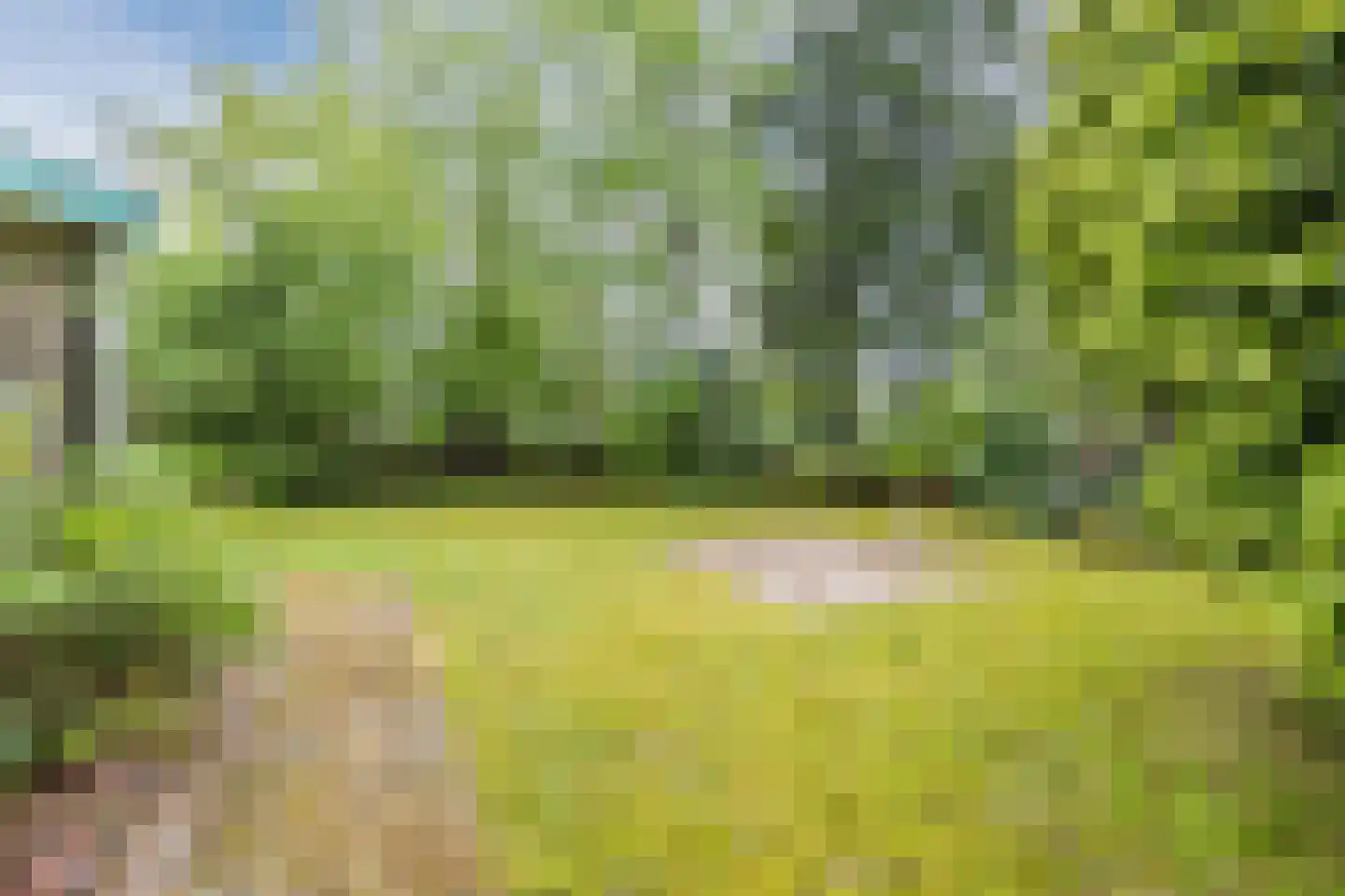 De Breistroeken 3 Nieuw-Balinge thumbnail 25