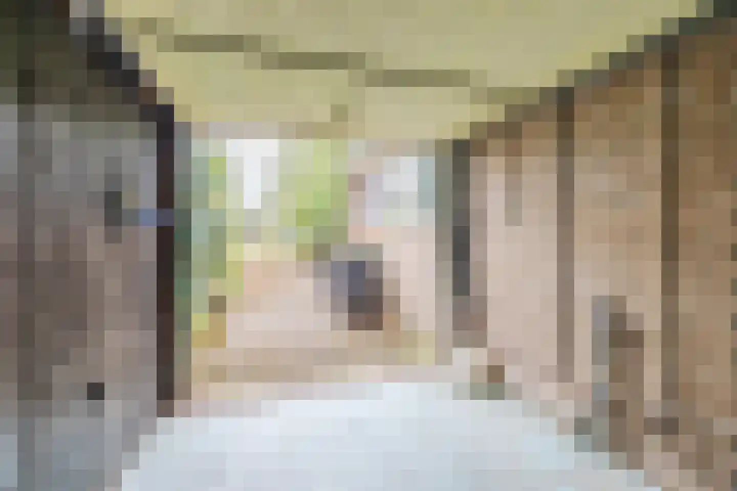 De Breistroeken 3 Nieuw-Balinge thumbnail 28