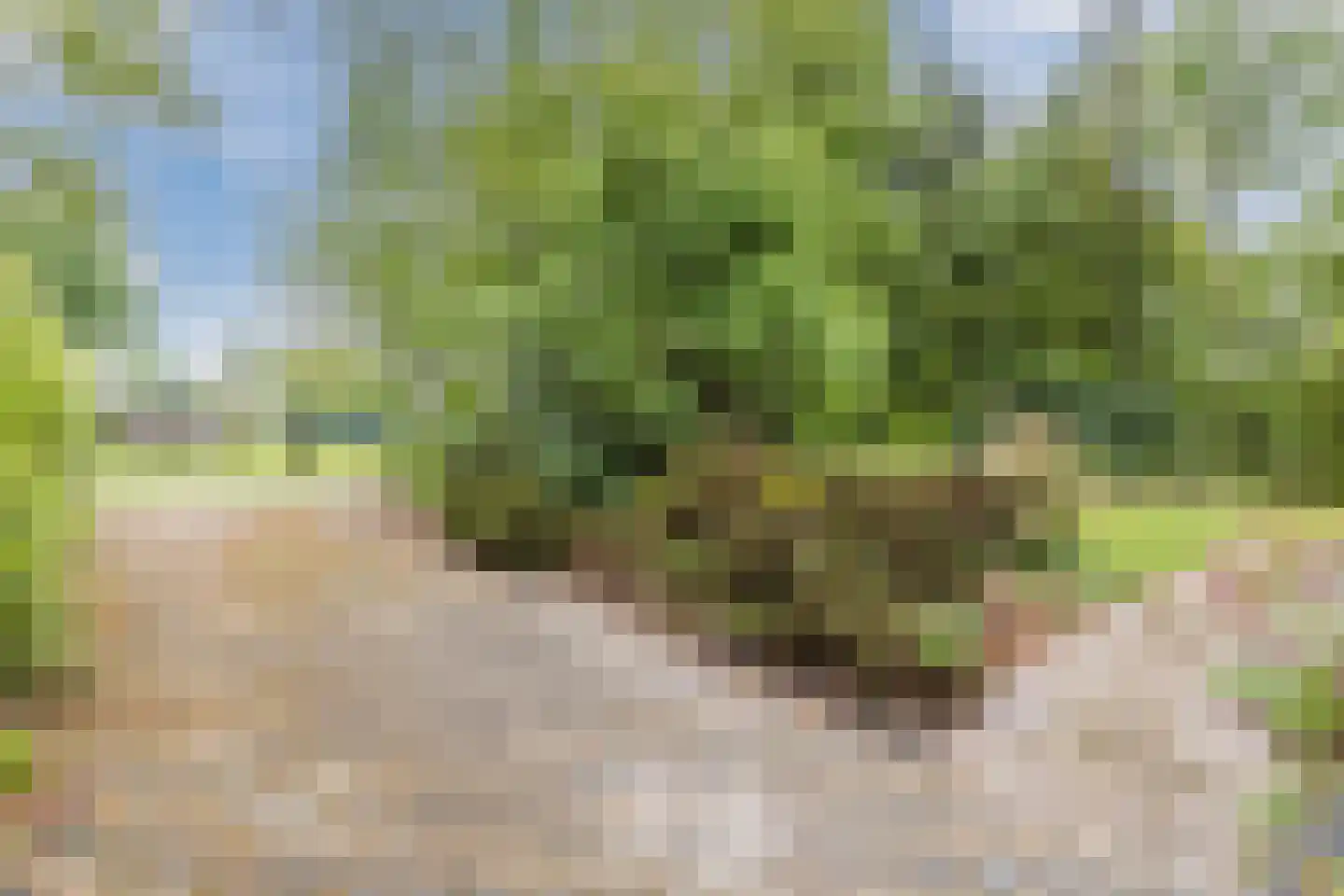 De Breistroeken 3 Nieuw-Balinge thumbnail 31