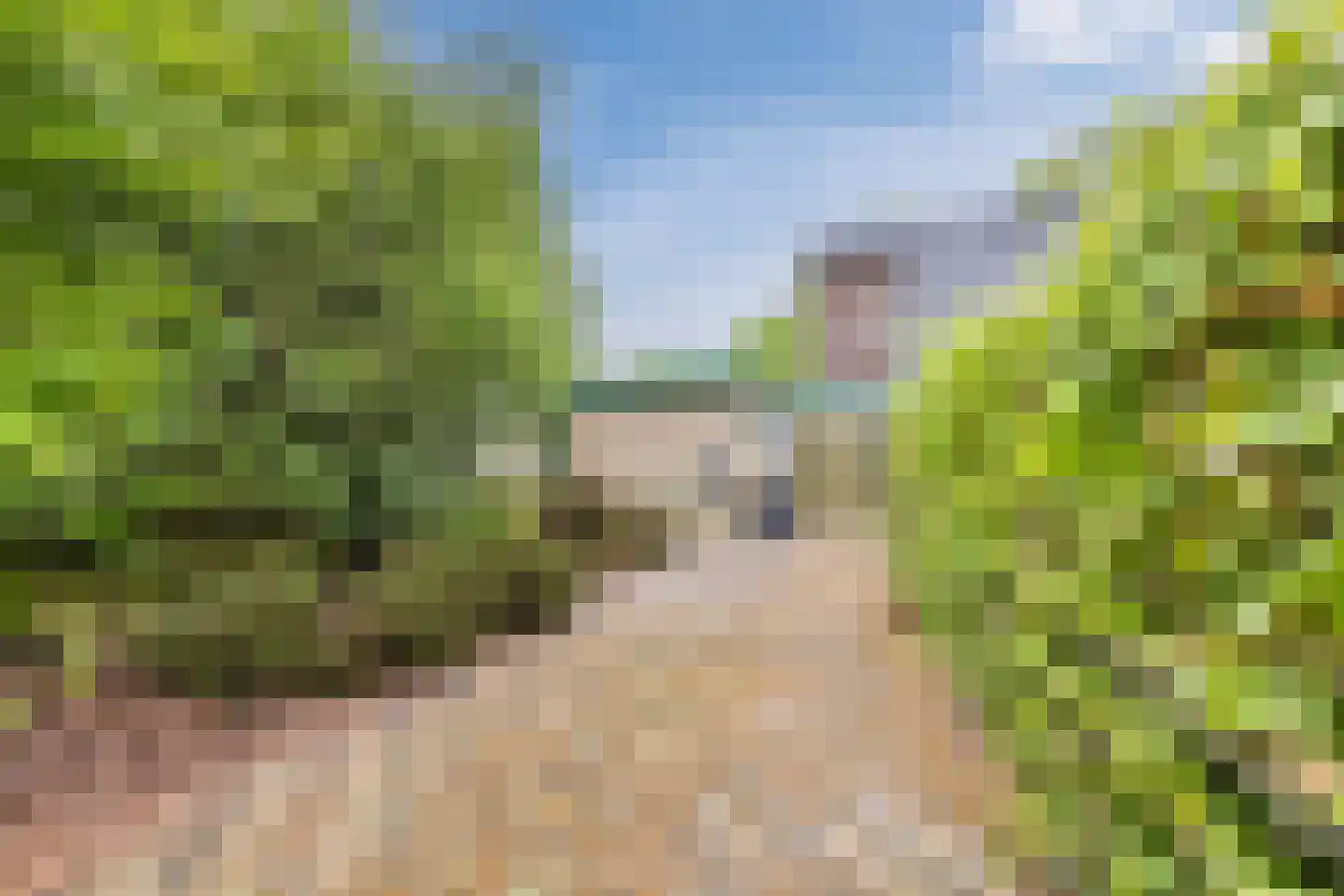De Breistroeken 3 Nieuw-Balinge thumbnail 32