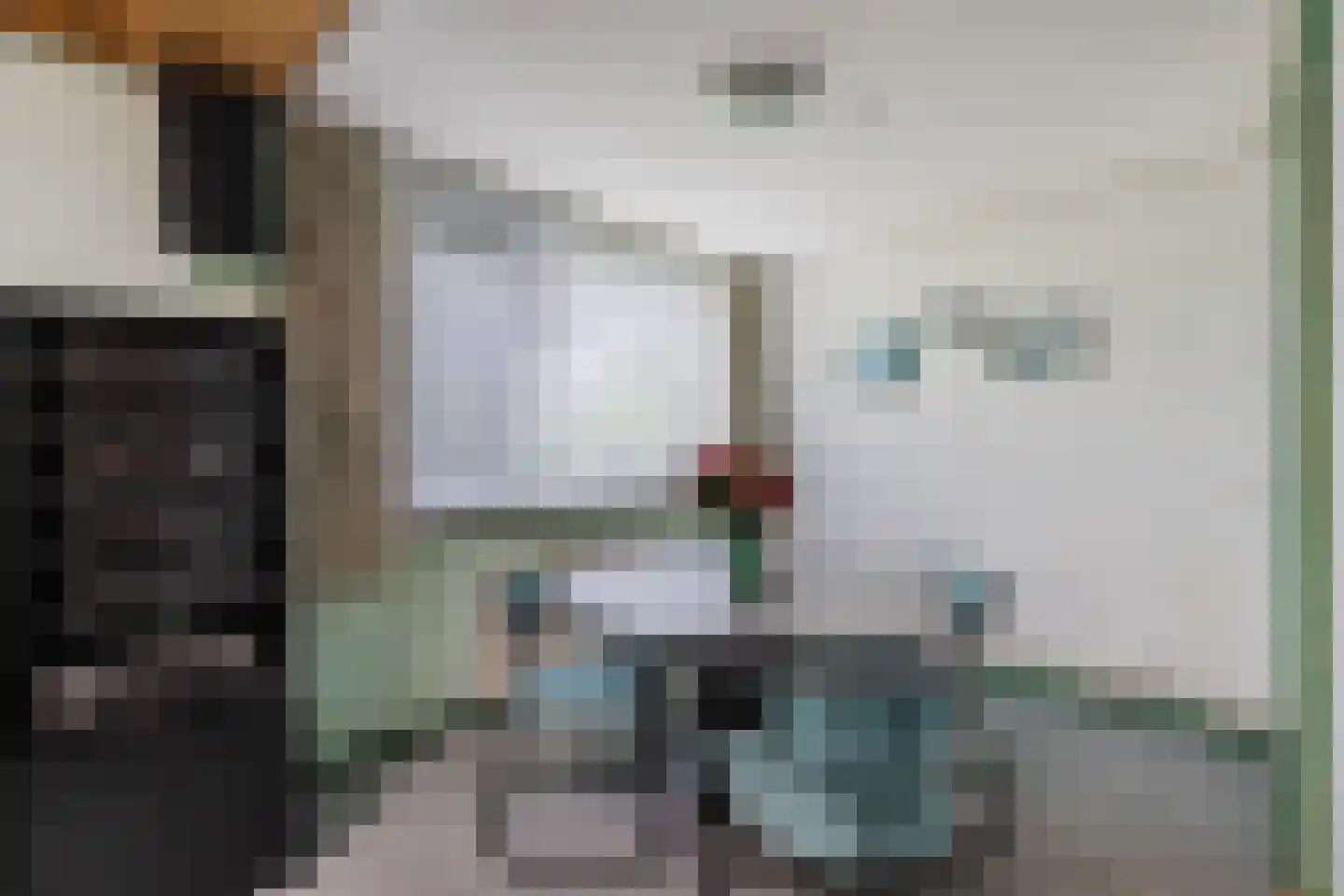 De Breistroeken 3 Nieuw-Balinge thumbnail 5