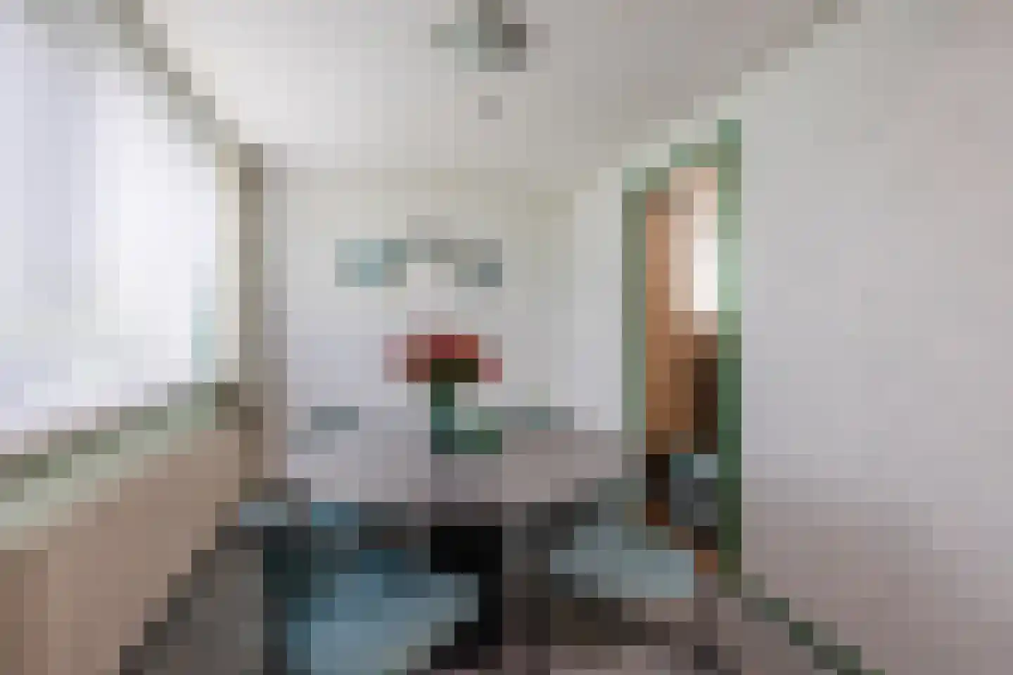 De Breistroeken 3 Nieuw-Balinge thumbnail 6