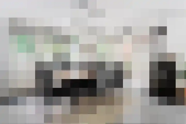 De Breistroeken 33 Nieuw-Balinge thumbnail 10