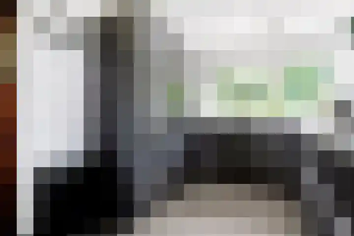 De Breistroeken 33 Nieuw-Balinge thumbnail 11