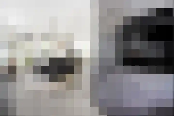 De Breistroeken 33 Nieuw-Balinge thumbnail 13
