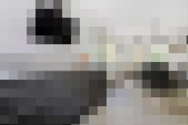 De Breistroeken 33 Nieuw-Balinge thumbnail 14