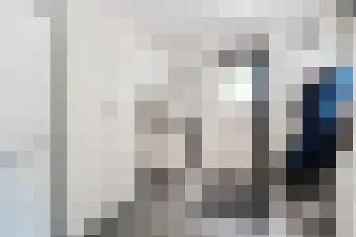 De Breistroeken 33 Nieuw-Balinge thumbnail 15