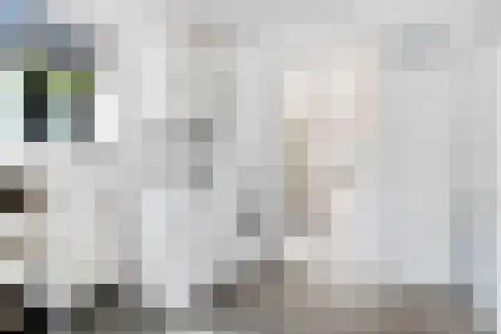 De Breistroeken 33 Nieuw-Balinge thumbnail 16