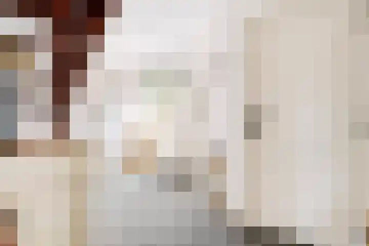 De Breistroeken 33 Nieuw-Balinge thumbnail 17